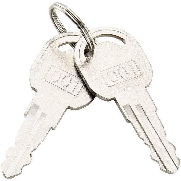 Global Industrial Replacement Keys For Outer Door of  Narcotics Cabinet 436951, 2pcs Key# 001 RP9901